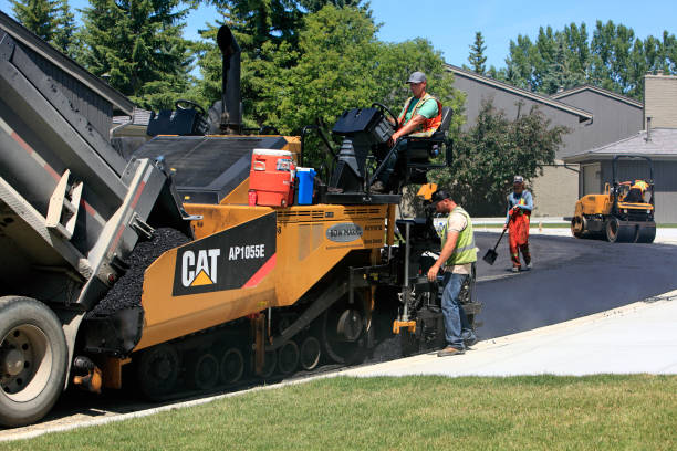 Best Custom Driveway Pavers  in Muskegon Heights, MI